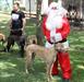 Santa with Greyhound 231218
